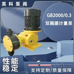 GB2000/0.3雙隔膜計量泵