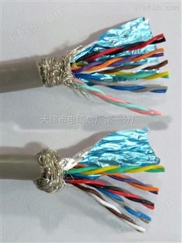 HJVV配线电缆 HPVV通信电缆