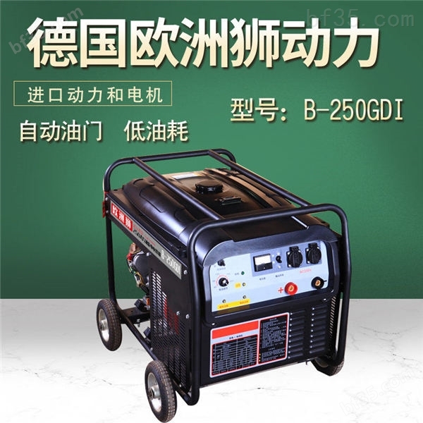 250A交流电发电电焊机价格