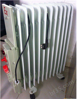 BDR-2000W/9片防爆电热取暖器