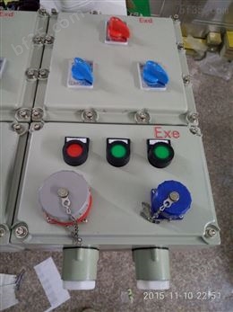 BXX52-6/200/380V/D防爆检修电源插座箱