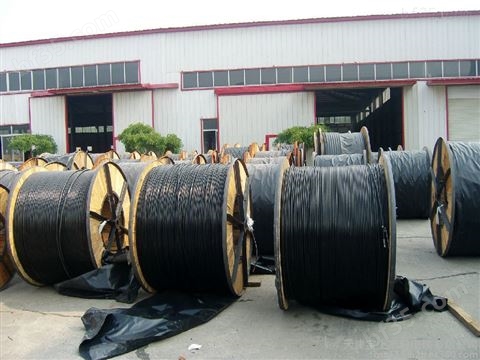 6/10KV高压矿用电缆型号MYPTJ电缆价格