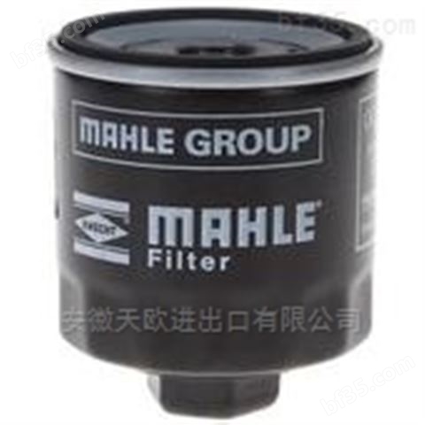 MAHLE气缸、过滤器T 24220 DN 2 025 FPM