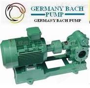进口齿轮油泵（德国进口工业品质）