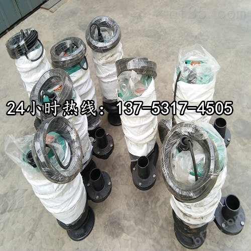 BQS45-50-15/N矿用潜水立式排污泵*黔南州