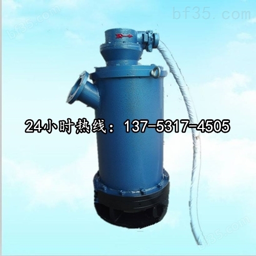 BQS50-300/4-110/N潜水立式排污泵*巴中