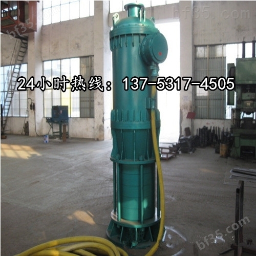 耐磨潜水排沙泵BQS100/2-18.5/N玉溪价格