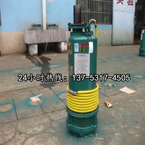 BQS60-30-15/N于沉井排沙泵\高耐磨搅拌沙浆泵\吸渣泵*锡林郭勒盟