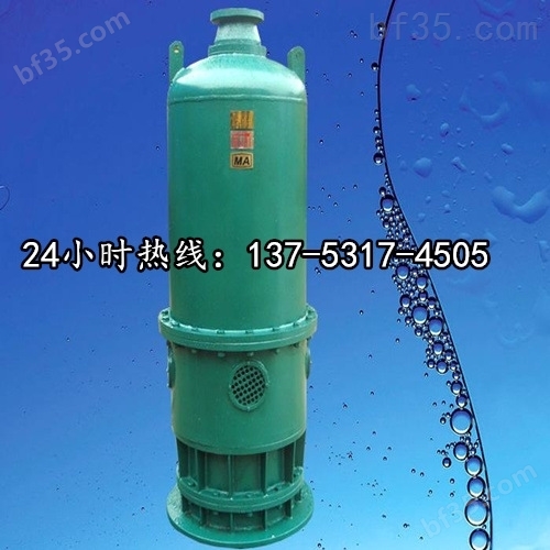 BQS70-35-18.5/N自吸式隔爆潜水排沙泵*营口