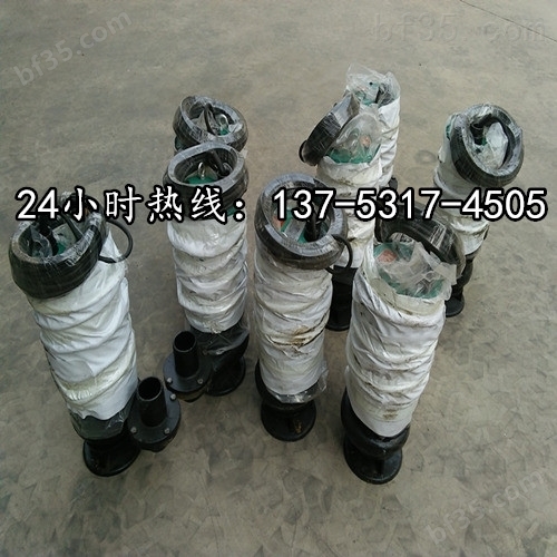 BSQ）系列高耐磨高浓度大小流量全扬程矿用排沙立泵BQS200-60-55/N许昌市价格