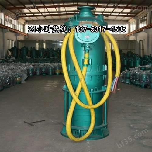 耐磨潜水排沙泵BQS100-60-37/N东营市品牌