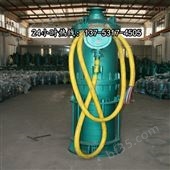 高扬程潜水排污泵BQS25-20-4/N天水市图片