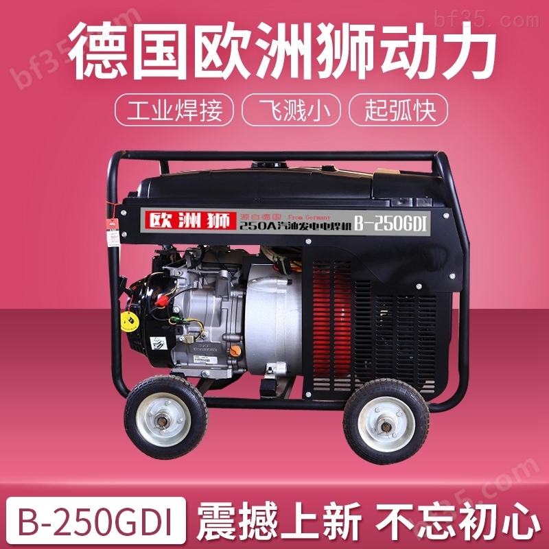 250A汽油发电电焊机我要买