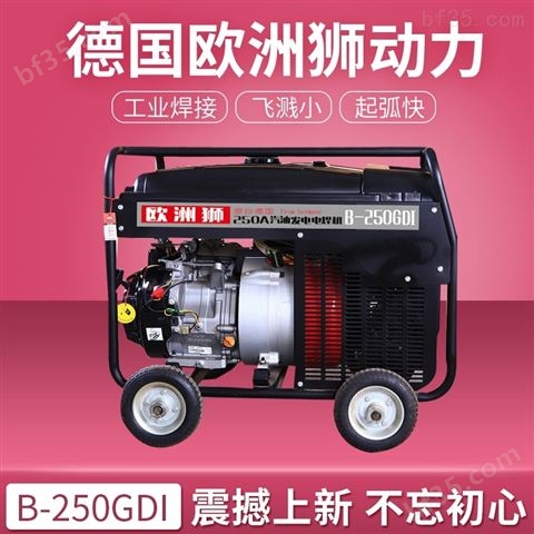 250A汽油发电电焊机_自发电燃油一体焊接机