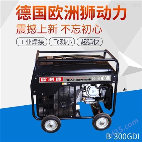 300A汽油发电电焊机价格
