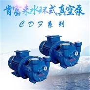 CDF系列水环式真空泵 耐腐蚀抽气泵