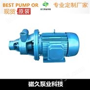 旋涡泵（）1W型