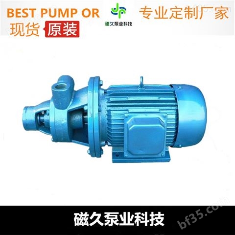 旋涡泵（）1W型