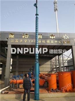 500KW井泵生产厂家_出厂实验