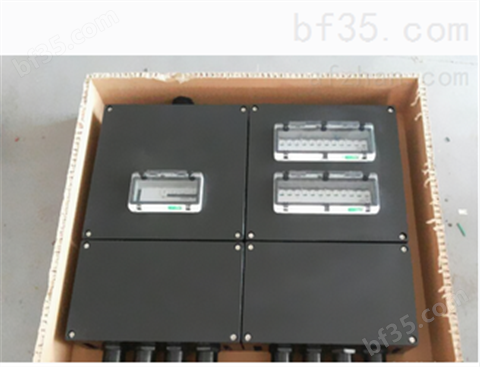 BXX8050-2/32/380防爆防腐电源插座开关箱