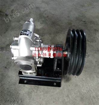 齿轮式抽油泵 齿轮油泵 机油输送泵