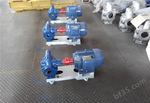 齿轮式抽油泵 齿轮油泵 机油输送泵