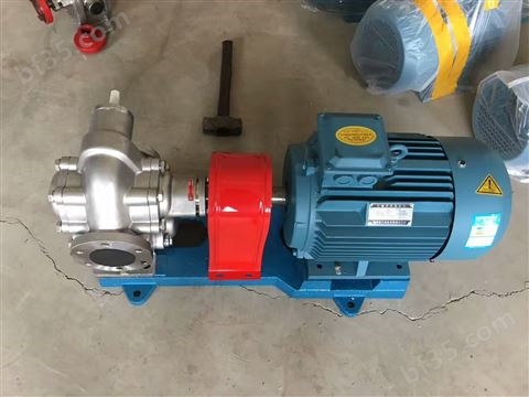 齿轮式输送泵 花生油输油泵 渣油齿轮泵