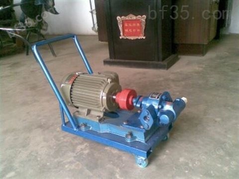 电动齿轮式输油泵 电动润滑油泵 电动燃油泵
